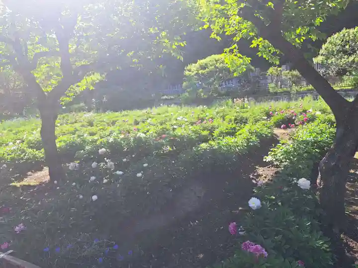 龍寳寺(龍宝寺)(神奈川県)