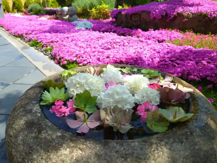 寿量山 速成寺(奈良県)