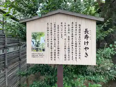 溝口神社(神奈川県)