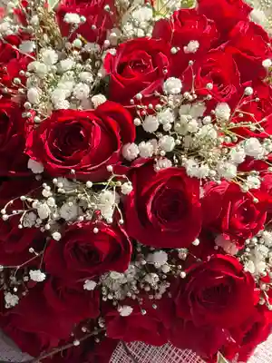 上尾御嶽神社(埼玉県)