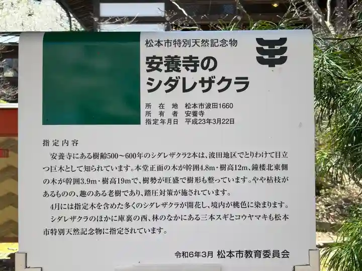 安養寺の{uncategorized: "未分類", other: "その他", undefined: "問題あり", building: "その他建物", grave: "お墓", sacred_gate: "鳥居", guardian: "狛犬", statue: "像", buddha: "仏像", history: "歴史", nature: "自然", garden: "庭園", animal: "動物", pagoda: "塔", temizu: "手水舎", mountain_gate: "山門・神門", sanctuary: "本殿・本堂", subordinate: "末社・摂社", art: "芸術", scenery: "景色", jizo: "地蔵", ema: "絵馬", goshuin: "御朱印", omikuji: "おみくじ", items: "授与品その他", amulet: "お守り", goshuincho: "御朱印帳", eats: "食事", festival: "お祭り", votive_dance: "神楽", shichigosan: "七五三参", wedding: "結婚式", experience: "体験その他", initially: "初詣", around: "周辺", anti_infection: "感染症対策"}