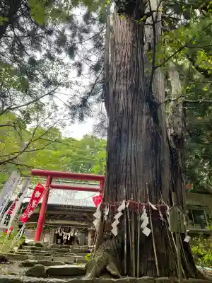磐椅神社(福島県)