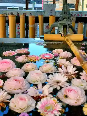 高円寺氷川神社(東京都)
