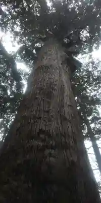 麻賀多神社(千葉県)
