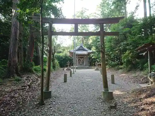 金比羅社の鳥居