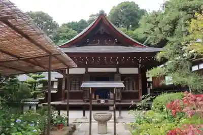 岡寺(龍蓋寺)(奈良県)