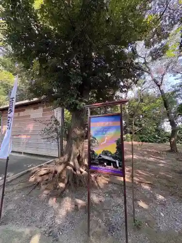 大宮・大原神社(千葉県)