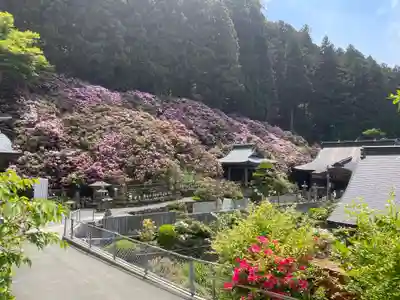 横峰寺(愛媛県)