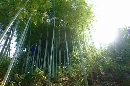 長法稲荷神社の自然