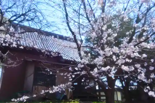 川和八幡神社(神奈川県)