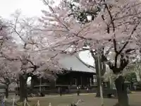 寛永寺(根本中堂)のその他建物