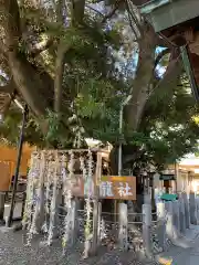 伊奴神社の建物その他