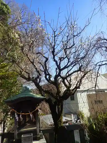 根岸八幡神社(神奈川県)
