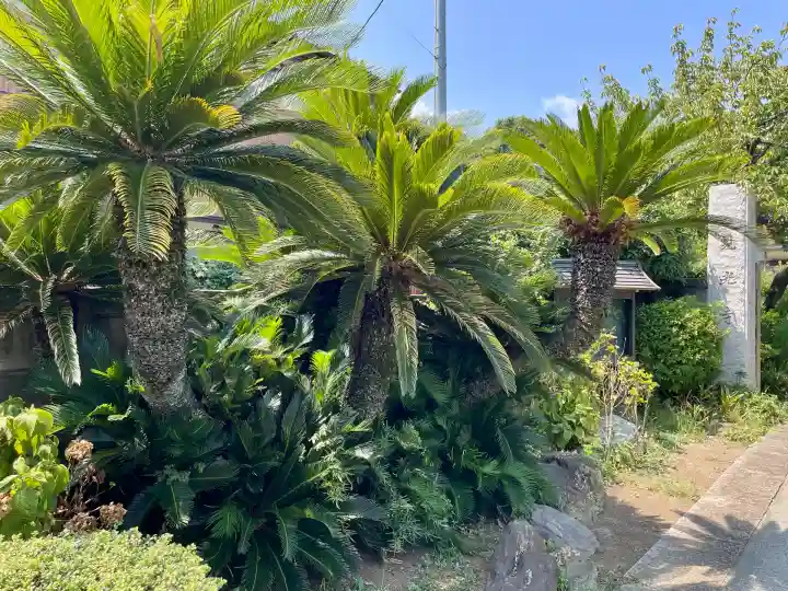見光寺(神奈川県)
