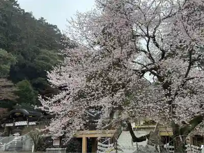 高麗神社(埼玉県)