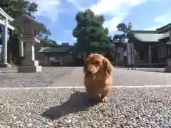 杉杜白髭神社(福井県)