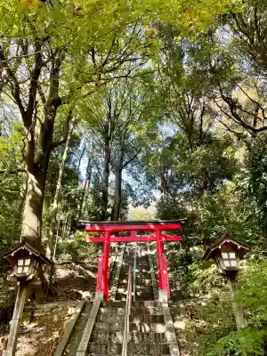 茅ヶ崎杉山神社(神奈川県)