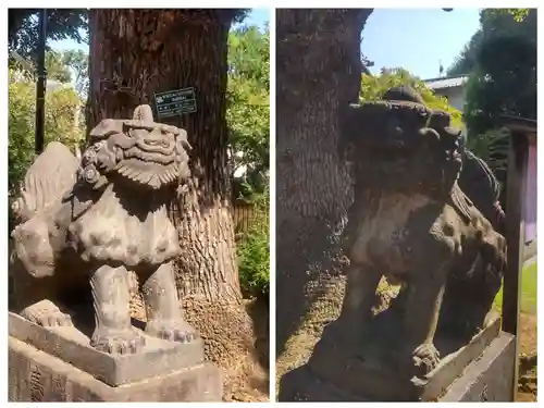西向天神社(東京都)