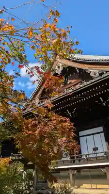 光明寺（粟生光明寺）(京都府)