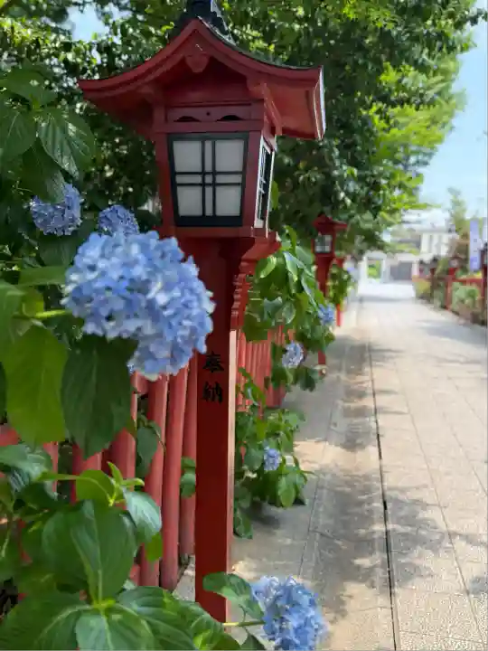 川越八幡宮(埼玉県)