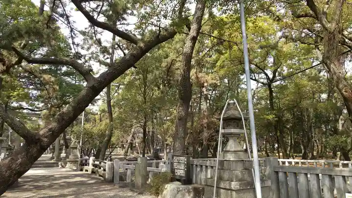 大濱熊野大神社の自然