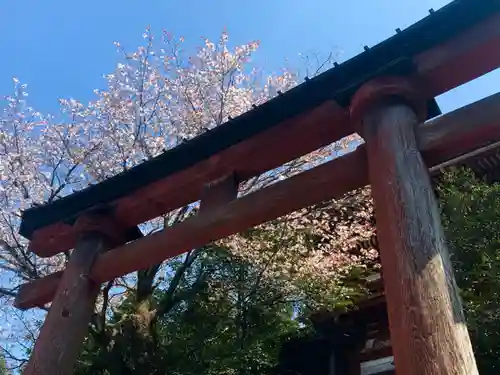 吉野水分神社の鳥居