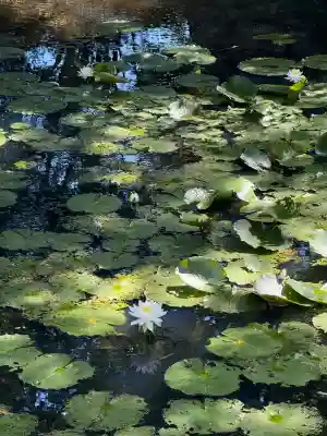 丹生都比売神社(和歌山県)
