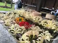 横浜 西方寺の手水舎