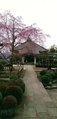 金剛寺(東京都)