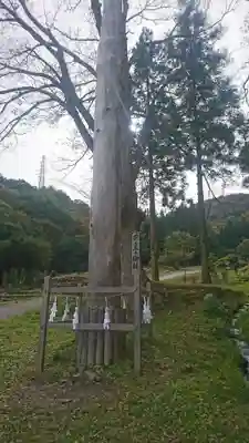 諏訪大社上社前宮のその他建物