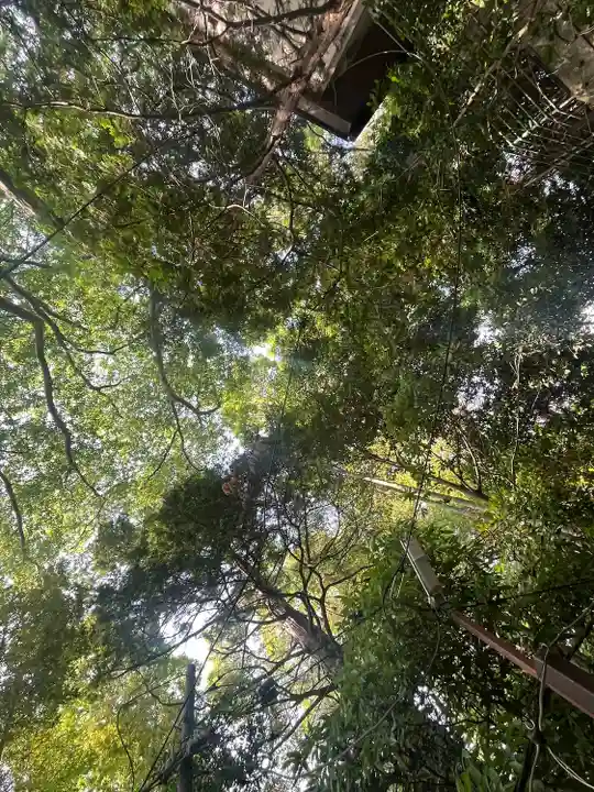 座間神社(神奈川県)