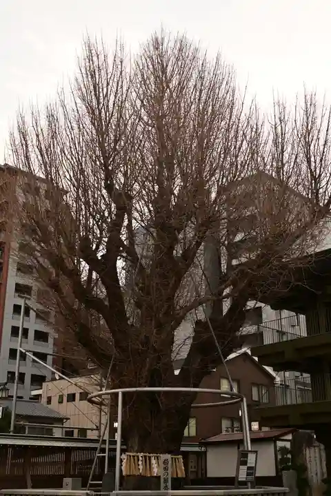 櫛田神社(福岡県)