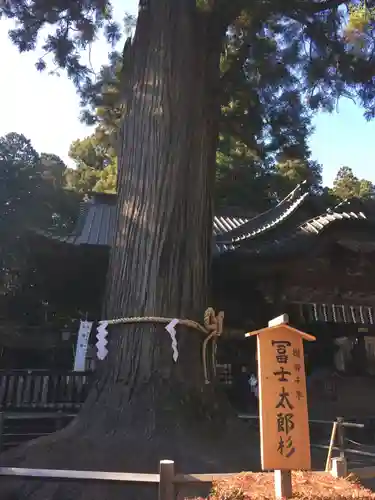 北口本宮冨士浅間神社の自然