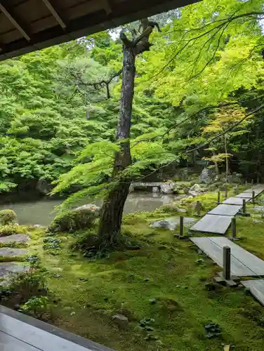 蓮華寺（洛北蓮華寺）の庭園