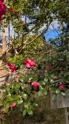 石山寺(滋賀県)