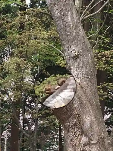 開拓神社の動物