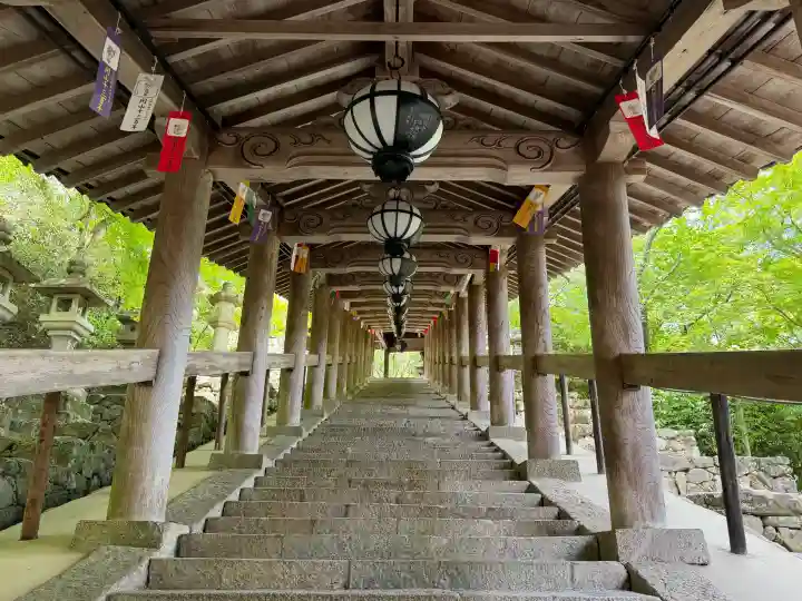 長谷寺の{uncategorized: "未分類", other: "その他", undefined: "問題あり", building: "その他建物", grave: "お墓", sacred_gate: "鳥居", guardian: "狛犬", statue: "像", buddha: "仏像", history: "歴史", nature: "自然", garden: "庭園", animal: "動物", pagoda: "塔", temizu: "手水舎", mountain_gate: "山門・神門", sanctuary: "本殿・本堂", subordinate: "末社・摂社", art: "芸術", scenery: "景色", jizo: "地蔵", ema: "絵馬", goshuin: "御朱印", omikuji: "おみくじ", items: "授与品その他", amulet: "お守り", goshuincho: "御朱印帳", eats: "食事", festival: "お祭り", votive_dance: "神楽", shichigosan: "七五三参", wedding: "結婚式", experience: "体験その他", initially: "初詣", around: "周辺", anti_infection: "感染症対策"}