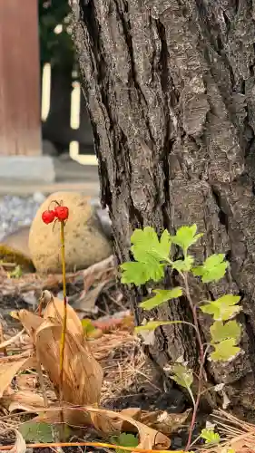 七重浜海津見神社(北海道)