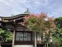 南松寺(東京都)