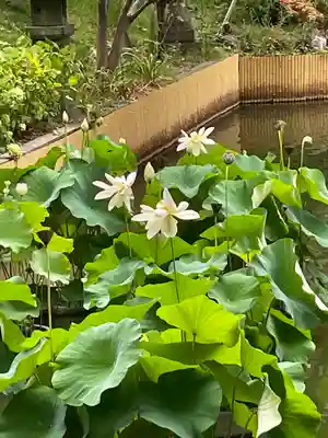生田神社(兵庫県)