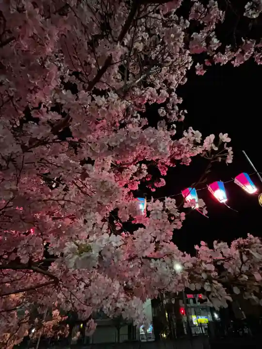 弘明寺の{uncategorized: "未分類", other: "その他", undefined: "問題あり", building: "その他建物", grave: "お墓", sacred_gate: "鳥居", guardian: "狛犬", statue: "像", buddha: "仏像", history: "歴史", nature: "自然", garden: "庭園", animal: "動物", pagoda: "塔", temizu: "手水舎", mountain_gate: "山門・神門", sanctuary: "本殿・本堂", subordinate: "末社・摂社", art: "芸術", scenery: "景色", jizo: "地蔵", ema: "絵馬", goshuin: "御朱印", omikuji: "おみくじ", items: "授与品その他", amulet: "お守り", goshuincho: "御朱印帳", eats: "食事", festival: "お祭り", votive_dance: "神楽", shichigosan: "七五三参", wedding: "結婚式", experience: "体験その他", initially: "初詣", around: "周辺", anti_infection: "感染症対策"}