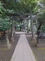 渋谷氷川神社の鳥居