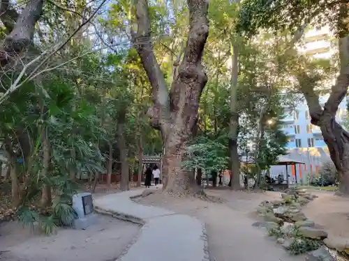 生田神社(兵庫県)