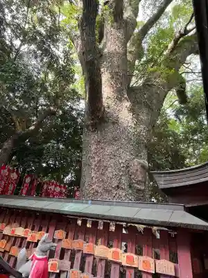 楠宮稲荷社(兵庫県)