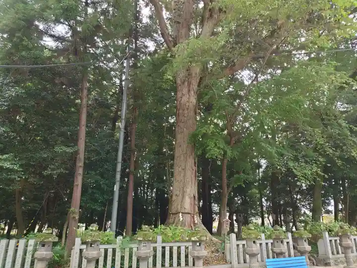 鴨都波神社(奈良県)