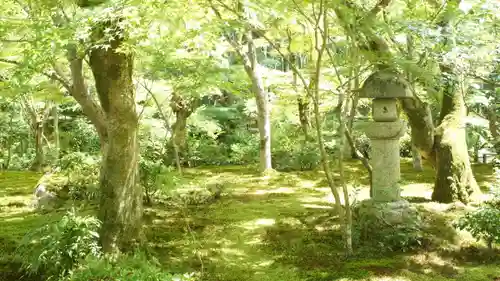 圓光寺(京都府)