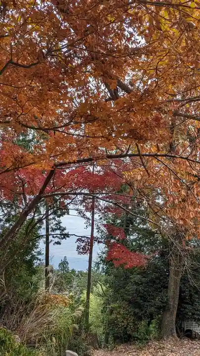 自玉手祭来酒解神社(京都府)