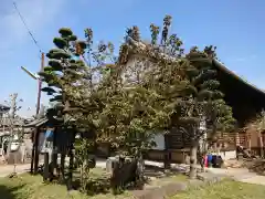 松應寺の庭園