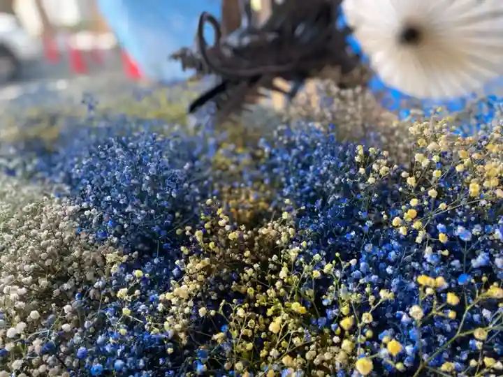 札幌諏訪神社の手水舎