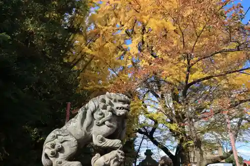 神炊館神社 ⁂奥州須賀川総鎮守⁂の狛犬